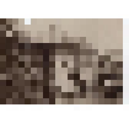 Фотография. Куракинская школа 2-й ступени (ныне Коробицынская средняя школа) Сямженского района