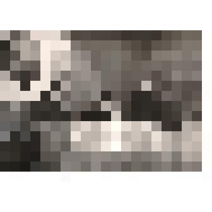 Фотография "Выступление на профсоюзной конференции Мартынова И.И."