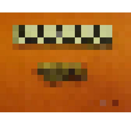 фрагмент каменного орудия