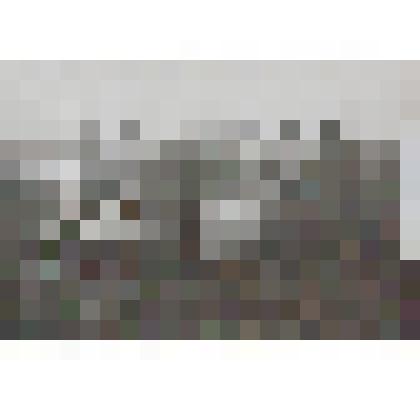 Фотография. Помощь колхозу учащихся