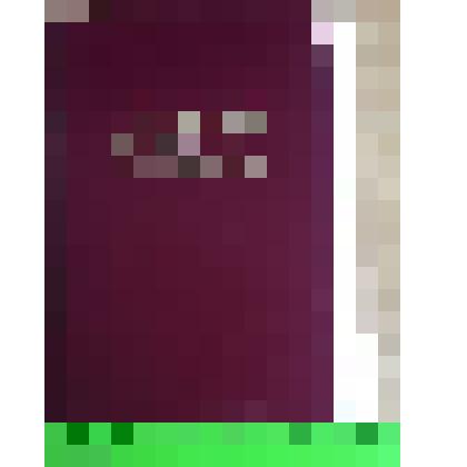 Книга. Писатели Алтайского края. Биобиблиографический словарь