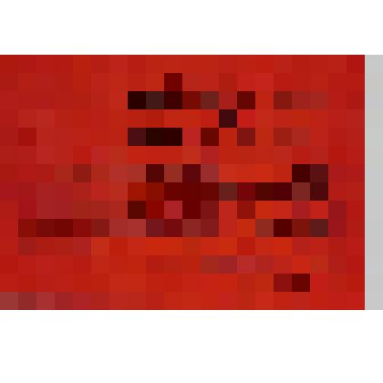 Мандат. Мандат №798  делегата  ХХ  Красноярской краевой партийной конференции от Хакасской областной  партийной организации Трошкина Алексея Федоровича