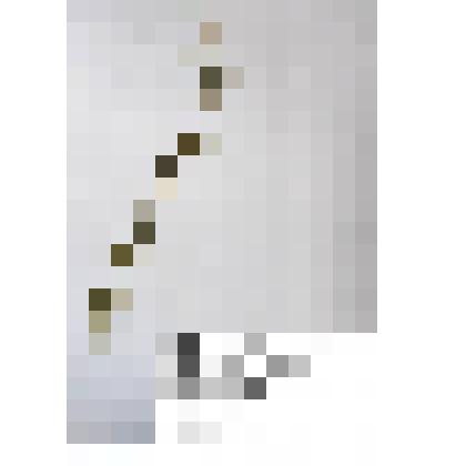 Гербарий
Лютик (луговой, северный, едкий)