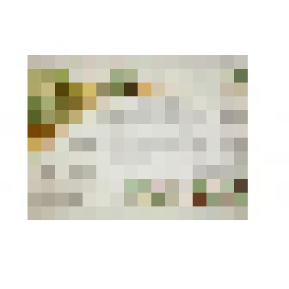 Плакат. Посадка лесных полос и уход за ними