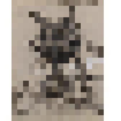 Рисунок «Мельница в Щелкове»