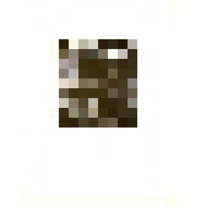 Гравюра «Шуточные»