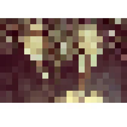 Фото цветное  портретное: Н.В. Панкратов и Н.А. Батехин на новогоднем голубом огоньке в РДК