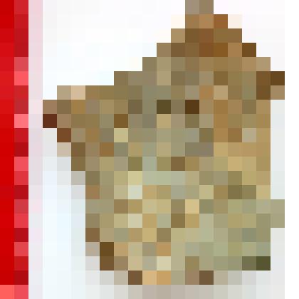 Отпечаток растения