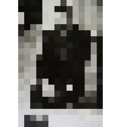 Полад Бюль-Бюль оглы