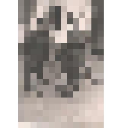 Фотография: Иванов С.П. -начальник штаба Воронежского фронта и Хрущев Н.С. член Военного Совета Воронежского фронта