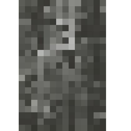 Николай Боровков (режиссёр)