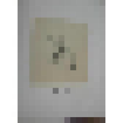 Портрет. Гоголь Николай Васильевич