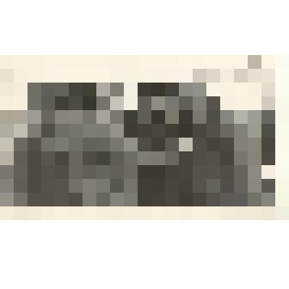 Фотография: главный инженер треста Каменьводстрой Э.Е.Хдошоянц рассказывает гостям о стройке Кулундинского канала