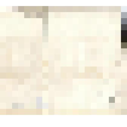 С работы Веронезе П