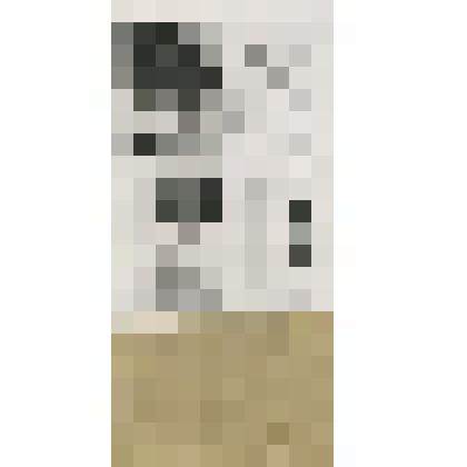 Фотоколлаж ч/б. Обложка, титульный лист и две страницы из книги Ф.Селиванова "Панфиловцы"