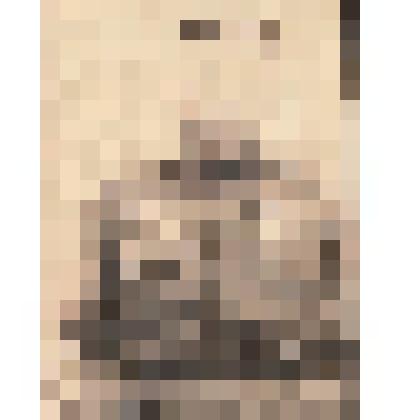 Ф/чб. Ананьев Михаил Петрович, майор, адьютант командир 326-го арт. полка 148-й стрелковой дивизии. Нойхаммер, Германия. 1946