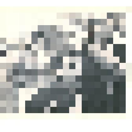 Фотография: последний звонок для учащихся школы №5 г.Камня-на-Оби Алтайского края