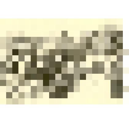 Фотография: праздник борозды по случаю окончания сева в Каменском районе Алтайского края. Общий вид митинга в роще Чапаевского отделения совхоза "Октябрь"