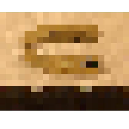 Пластина ножевидная