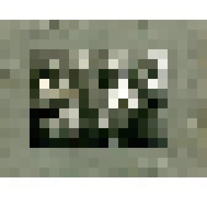 Групповой снимок. Педагогический состав Якутской женской гимназии