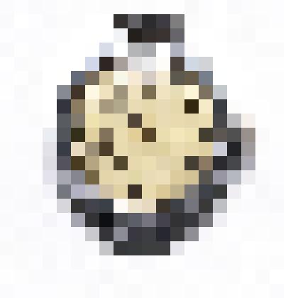 Часы наручные М.М.Жулева, директора Александровского радиозавода в 1961-1979 гг