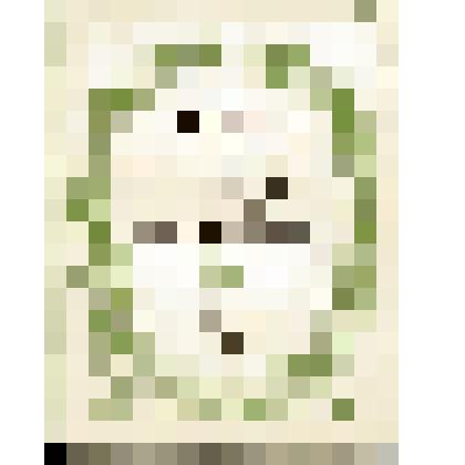 Нотное издание "Хоры и народные песни на слова поэтов-декабристов"