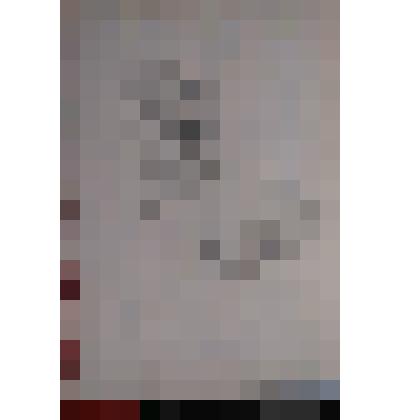 Альбом  с рисунками Налбандяна Д.А. – 73 л.(25 рисунков)