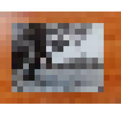 Фотография. Природа окрестностей г.Камня-на-Оби