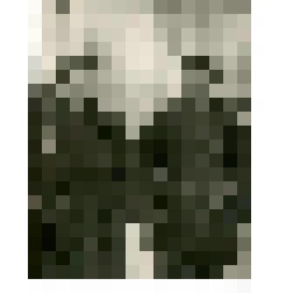 Фотография. Типы тунгусов в уроч. Няльгя