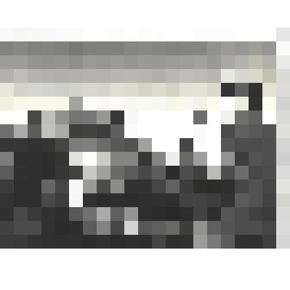 Фотографии. Фото ч/б. Самолет врага, сбитый под Киевом 22 июня 1941 г. (первый снимок войны)