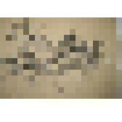 Перед хатой. Рисунок