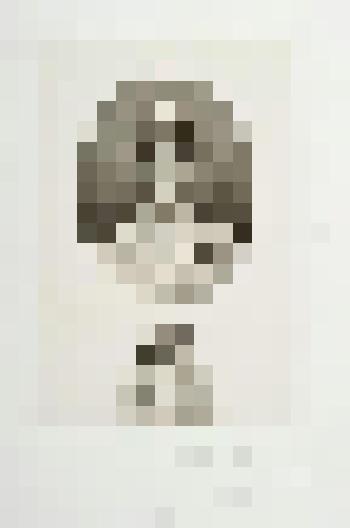 Портрет цесаревны Марии Фёдоровны. Портрет-заметка наследника Николая Александровича. Пробный оттиск