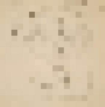 Проун (с большим кругом)