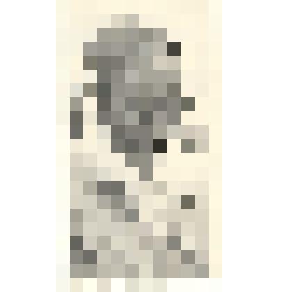 Фотография: Шутова Мария, доярка 2-й бригады колхоза им. Кирова Каменского района