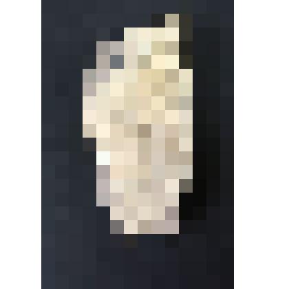 Фрагмент дерева. Окаменелость