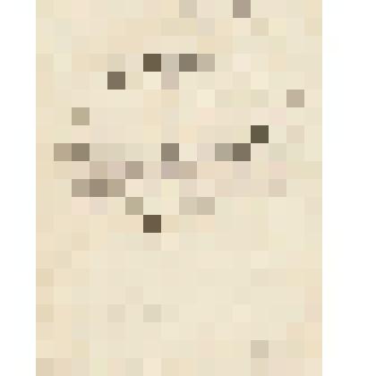 Письмо от Николая Петровича Алина в г. Архангельск  Андрею Осиповичу Белявскому об отправке продуктов на Печору