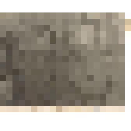 Фотография. Уткин В.В. с боевым товарищем