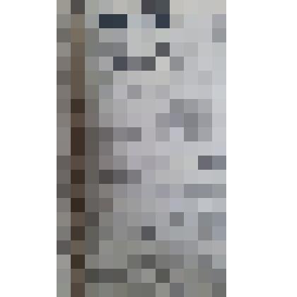 Газета "Адлерская правда"
№99 (3371) от 18.08.1961 г