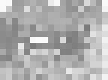 Фотография Всесоюзный поход по местам битв за Советскую власть. Привал в Суетском колке