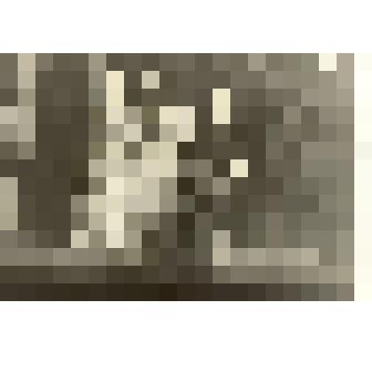 Фотография: Мамонова Татьяна, свинарка, и Попова Анна, доярка, на районном смотре художественной самодеятельности в Доме культуры г.Камень-на-Оби