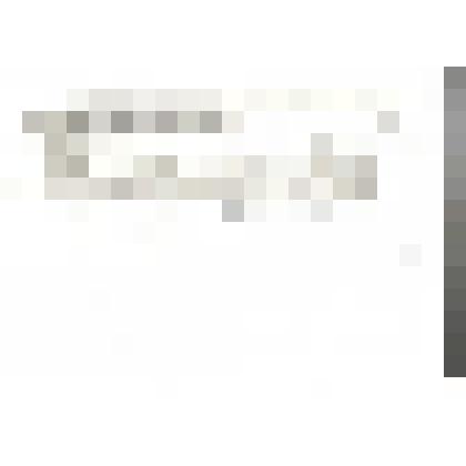 художественного оформления ружья «Изюбр». Вид колодки справа. Эскиз