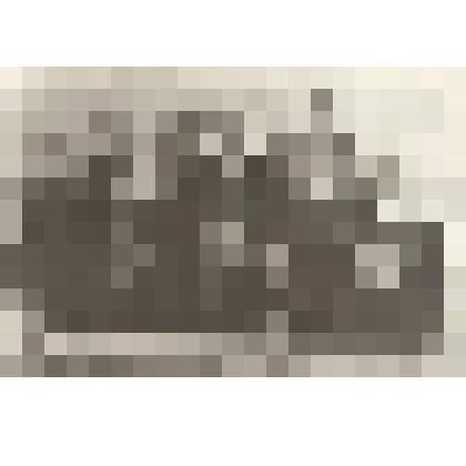 Пионерский отряд им . И.М. Мызгина