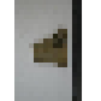 Сосуд. Фрагмент