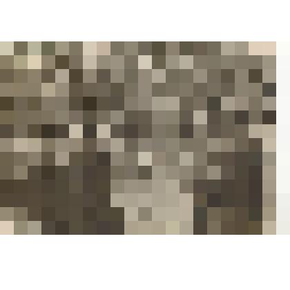 Фото групповое у школы 15.06.1962 г