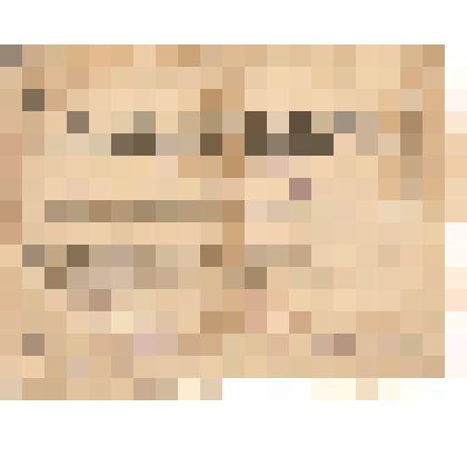 Благодарность Бакунцев Н.А