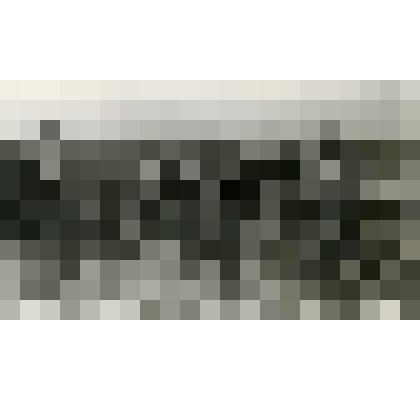 Фотография. Урожай кукурузы в колхозе имени Н.С. Хрущева