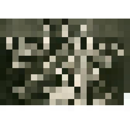 Фотография. Групповой портрет. Студентки педагогического института г. Белгород