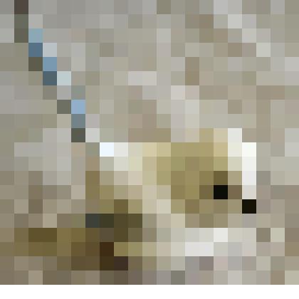 Скульптура (статуэтка) фарфоровая. Длиннохвостая синица