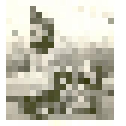 Фотография: первомайская демонстрация в г.Камень-на-Оби Алтайского края. Делегация Каменского профтехучилища