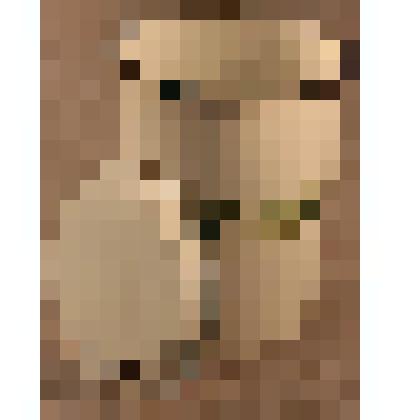 Емкость для соли эмалированная, из коллекции бытовых вещей семьи Бугаенко Павла Андреевича, профессора филологического факультета Саратовского государственного университета